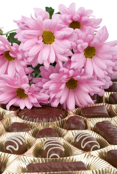 Set di cioccolato e crisantemo — Foto Stock