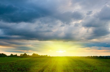 Sunset over the field clipart