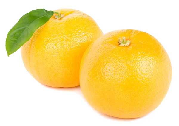 Twee rijpe grapefruits — Stockfoto