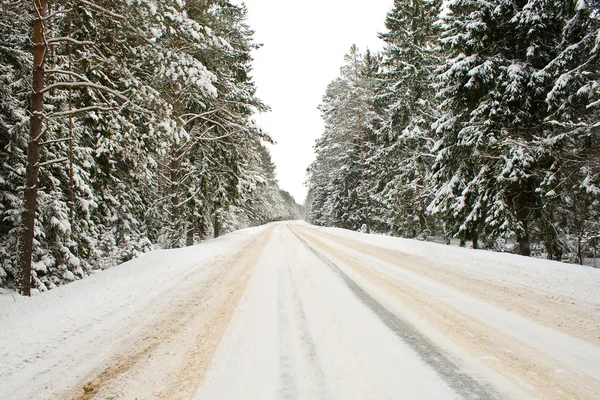 Estrada nevada — Fotografia de Stock