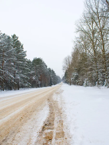 Kışın köy yolu — Stok fotoğraf