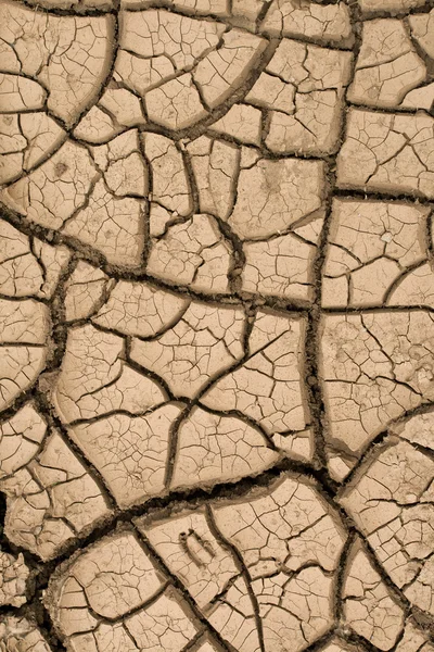 stock image Cracked ground