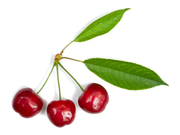 Three ripe cherries with leaves — Stock Photo, Image