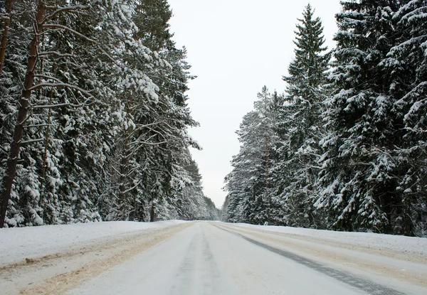 Landstraße im Winter — Stockfoto