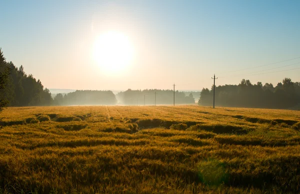 Nascer do sol no campo com nevoeiro — Fotografia de Stock