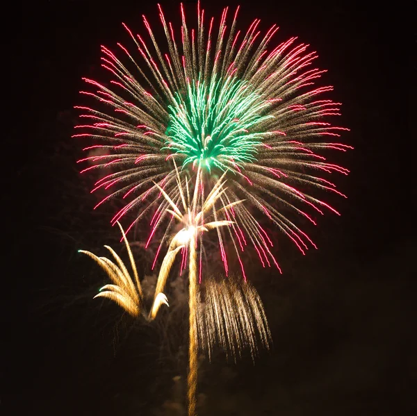 Fireworks gece palm olarak — Stok fotoğraf