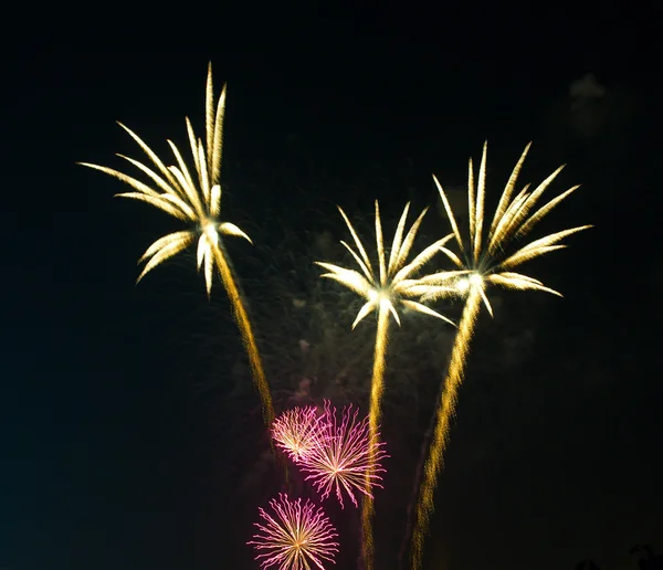 Fireworks gece palm olarak — Stok fotoğraf
