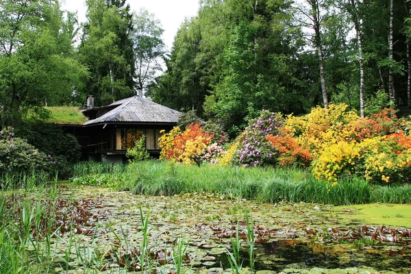 çiçek rododendrons