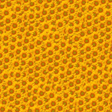 Sunflower background clipart