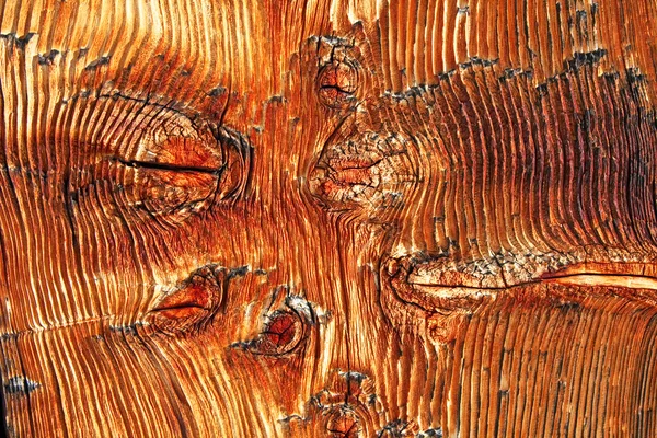 Tjärhaltiga trä brädans struktur — Stockfoto