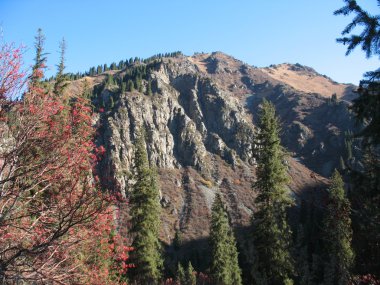 dağ, gökyüzü, ağaçlar