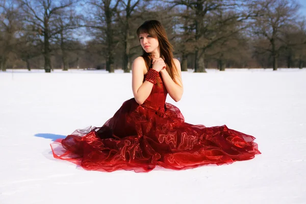 Červené šaty Stock Fotografie