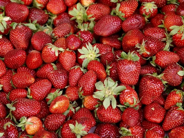 stock image Fresh strawberry