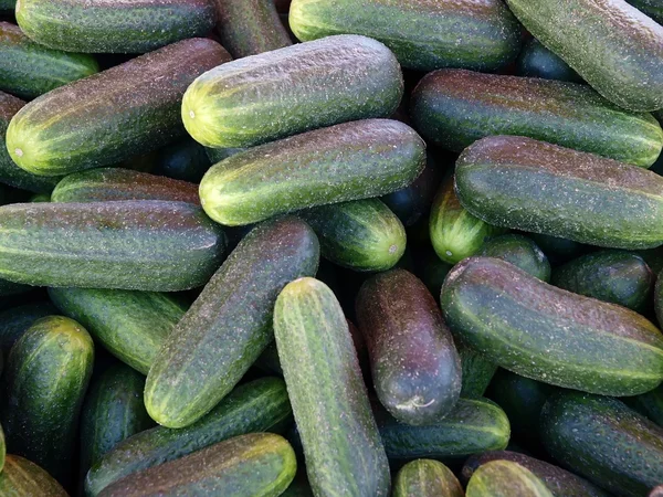Sağlıklı gıda. Beyaz arka plan üzerinde izole yeşil salatalık — Stok fotoğraf