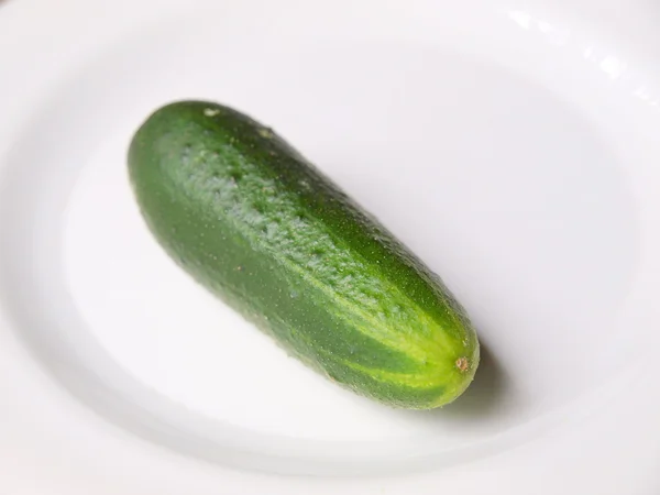 Comida saludable. Los pepinos verdes aislados sobre fondo blanco — Foto de Stock