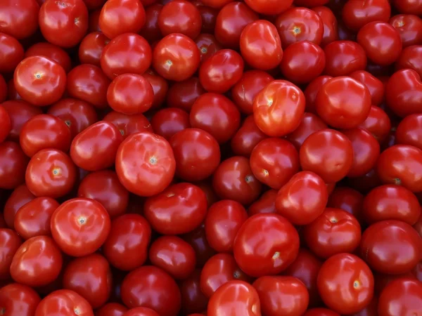 stock image Colored peppers