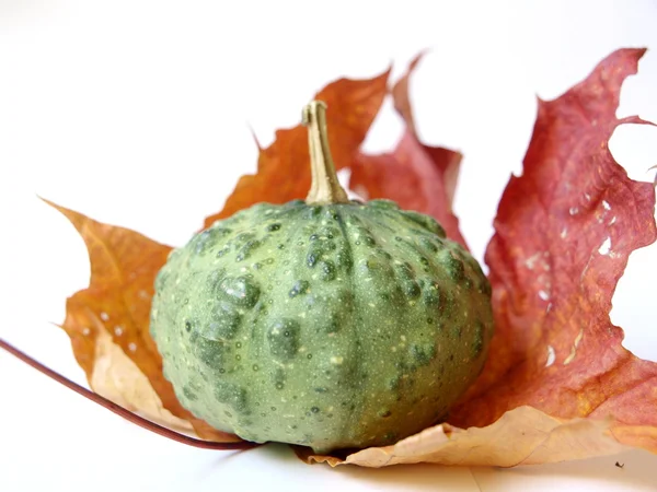 stock image Halloween Pumpkin