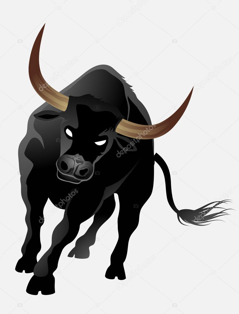 Black bull