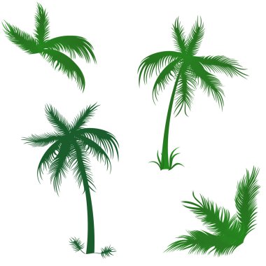 Tropical palms set clipart