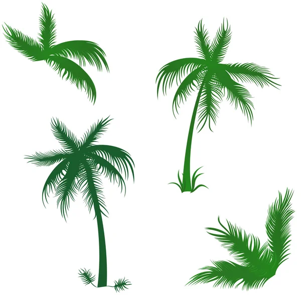 Tropische Palmen gesetzt — Stockvektor