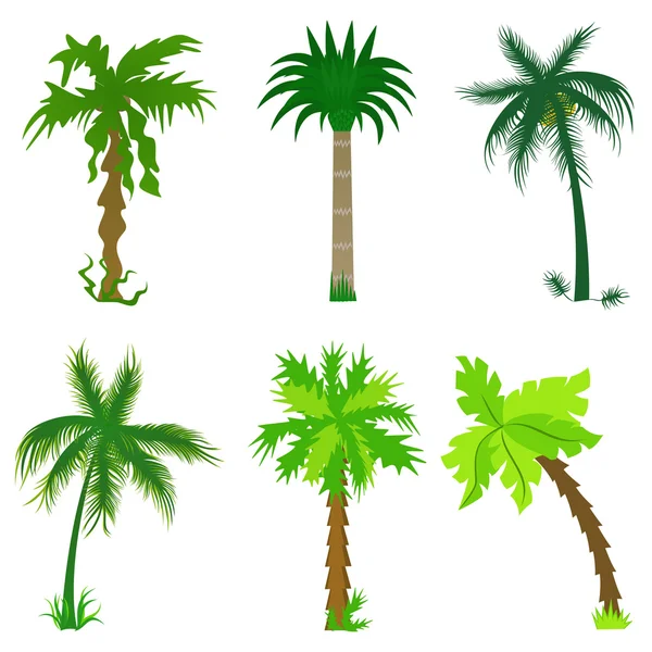 Ensemble de palmiers divers — Image vectorielle