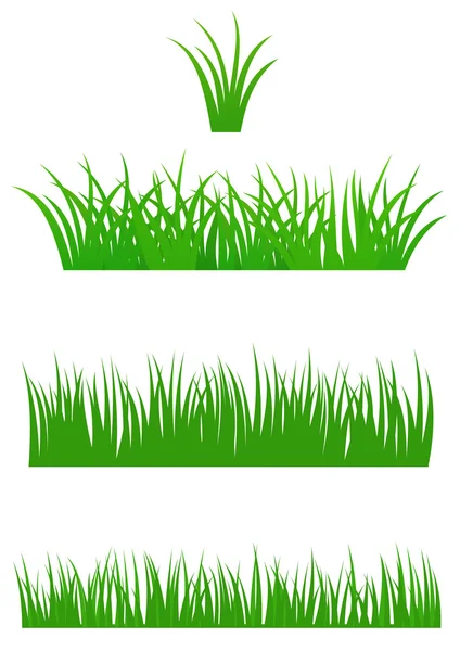 新鲜的夏季草 — 图库矢量图片