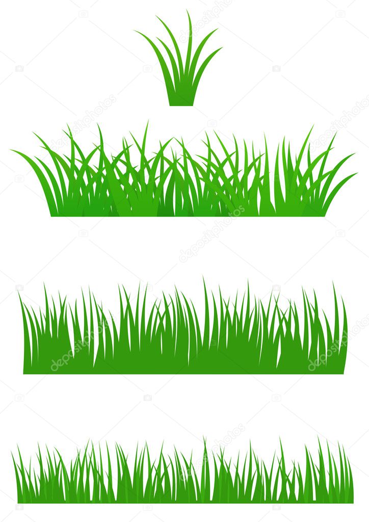 Fresh Summer Grass