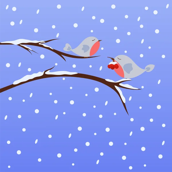 Winter vogels — Stockvector