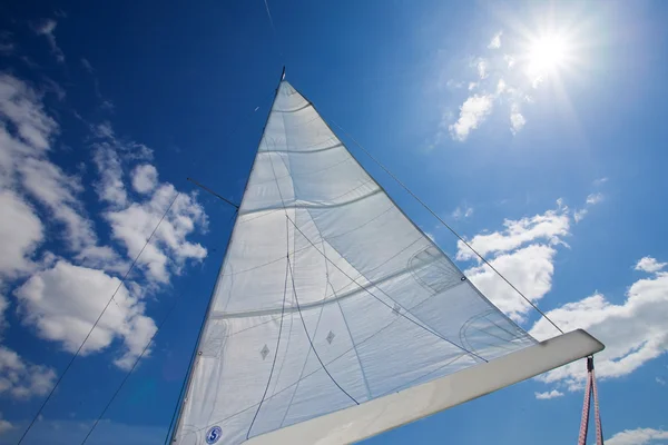 stock image Sail