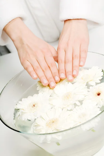 stock image Female hands