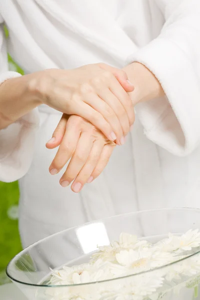 Female hands applying hand — Stock Photo, Image