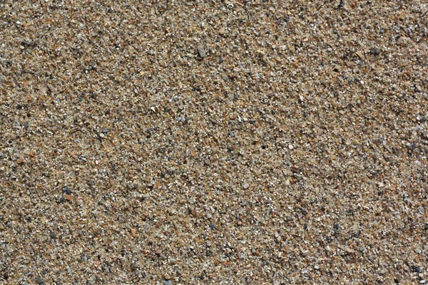 Sabbia marina Immagine Stock