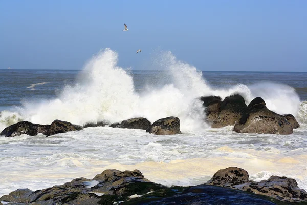 Spray de mar — Fotografia de Stock