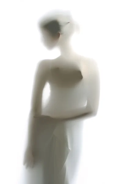 Элегантный женский силуэт — стоковое фото