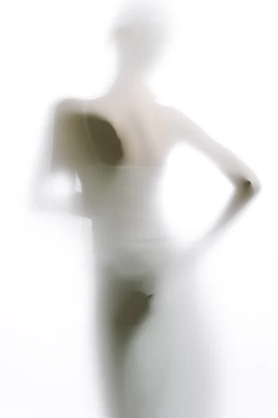 Elegante weibliche Silhouette — Stockfoto