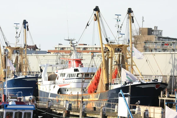 Fishtrawler i hamn — Stockfoto