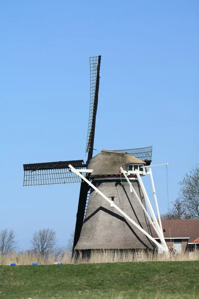 Типичный ветряные мельницы в Зансе Сханс в Нидерландах с большим голубое небо — стокове фото