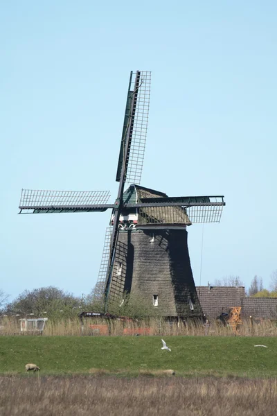 Типичный ветряные мельницы в Зансе Сханс в Нидерландах с большим голубое небо — стокове фото