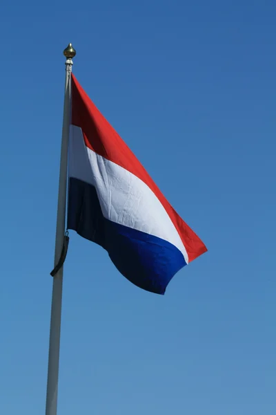 Nederländska flaggan — Stockfoto