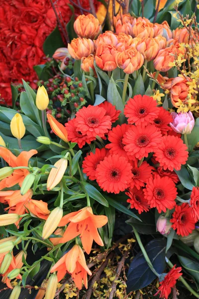 Disposizione di fiori rossi e arancioni — Foto Stock