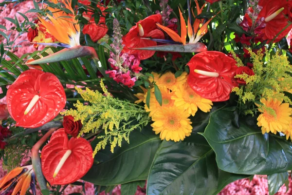 Exotisches Blumengesteck — Stockfoto