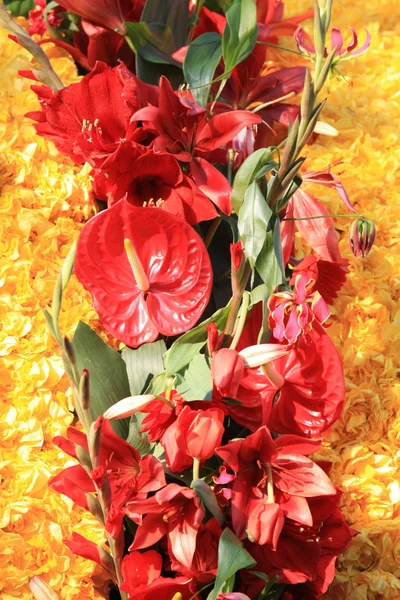 Rode en gele bloemen regeling — Stockfoto