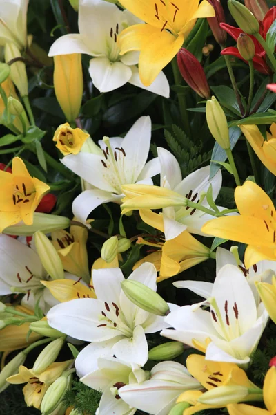 stock image Yellow and white lilies