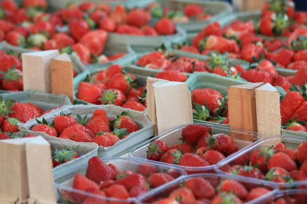 市場に出回っている新鮮なイチゴ — ストック写真