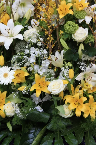 黄色和白色的百合花 — 图库照片