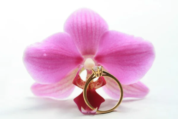 Orquídea rosa e anel de noivado — Fotografia de Stock