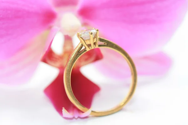 Diamant-Engagement und Orchidee — Stockfoto