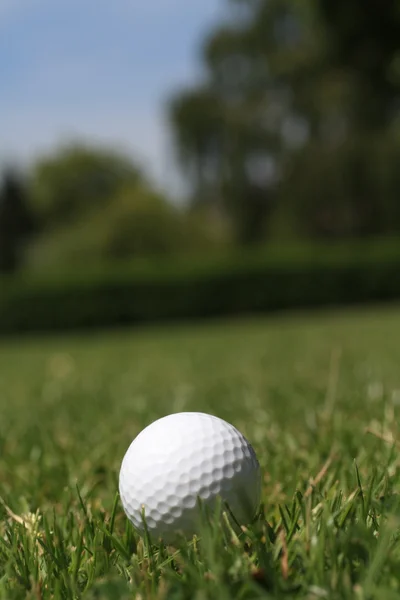 Гольфбол в траве — стоковое фото