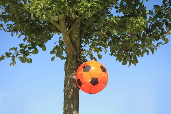 Hollandalı futbol dekorasyon — Stok fotoğraf