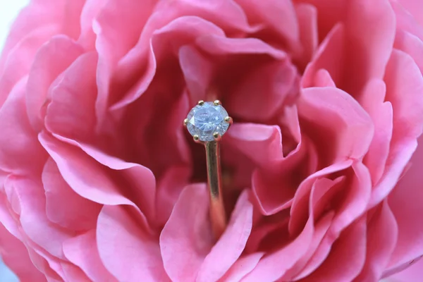Diamond engagement ring in een roze roos — Stockfoto